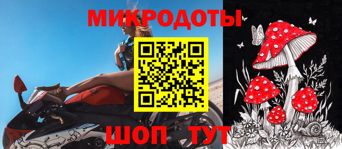 Галлюциногенные грибы Psilocybe Мыски