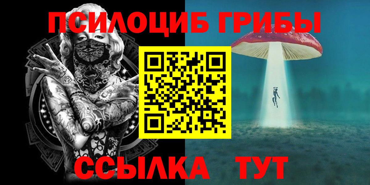 Альфа ПВП Мыски