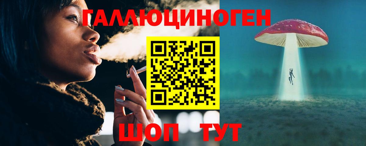 Псилоцибиновые грибы Cubensis  Вход с VPN  Мыски 